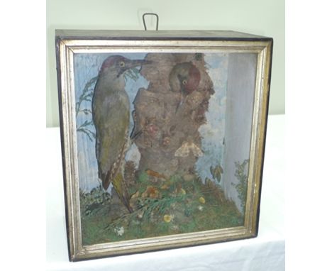 A PAIR OF GREEN WOODPECKERS arranged around a tree trunk in naturalistic setting with painted back drop, within glazed painte