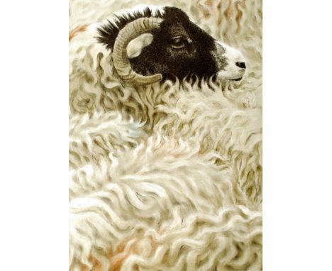 ALAN STONES
Swaledale
Signed and dated 9184, lithograph 95/100, 41cm x 30cm CONDITION REPORT: Coll. No. 0605