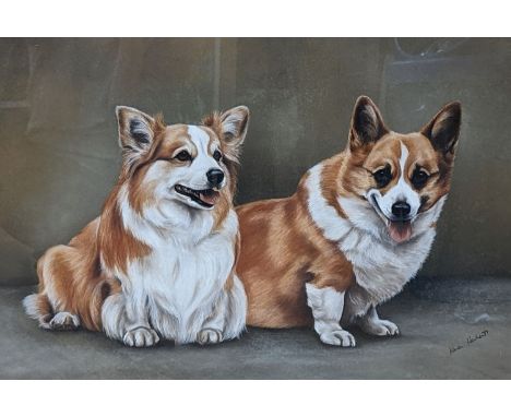 Karen Herbert, pastel, Portrait of two corgis, signed, 40 x 58cm