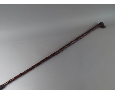 A 19th Century Walking Stick with a Carved Handle Modelled as a Dogs Head. 83cm Long