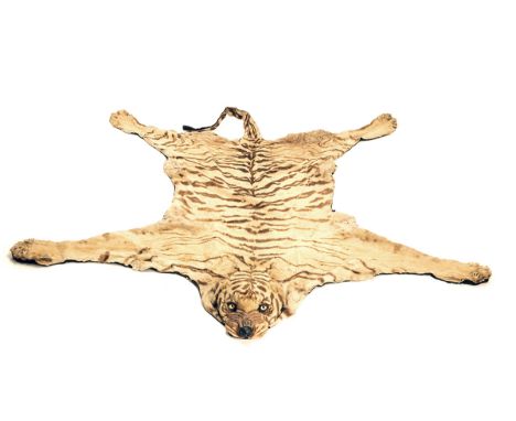 VAN INGEN & VAN INGENA VINTAGE RUG-MOUNT OF A TIGER,circa pre World War II, lined with beige canvas, stencilled 'VANINGEN & V