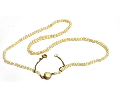 A LATE VICTORIAN/EDWARDIAN SINGLE ROW PEARL NECKLACE with a yellow gold clasp, the small off round and button shaped pearls g