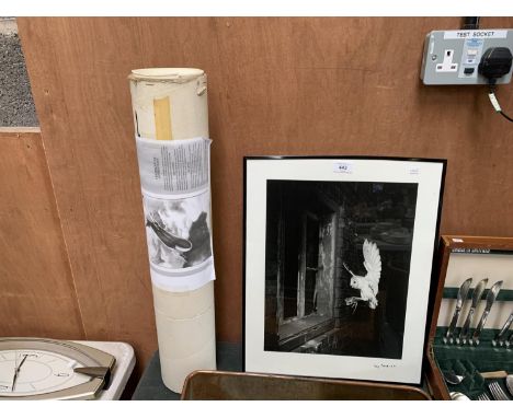 A TERRY BOND FRAMED PHOTOGRAPH OF AN OWL AND A FURTHER UNFRAMED LIMITED EDITION OF 500 PHILLIP CASTLE SIGNED PRINT OF THE BRI