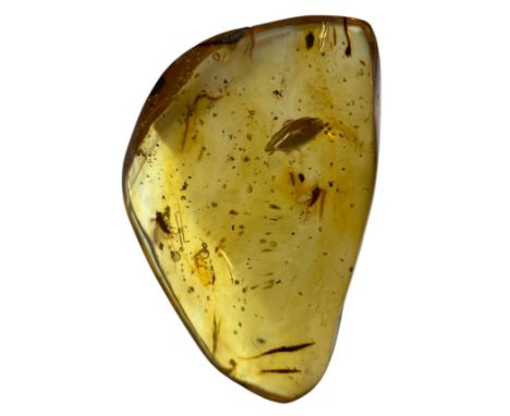 A PAIR OF FOSSIL FLIES IN DINOSAUR AGED BURMESE AMBERA highly detailed pair of flies, in clear amber gem. Polished to a fine 