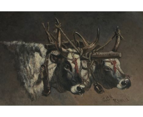 CHARLES COLEMAN OF ROME (19TH CENTURY): AN OIL PAINTING ON BOARD DEPICTING OXEN,Purchased from Old Masters Gallery. 34cm x 23
