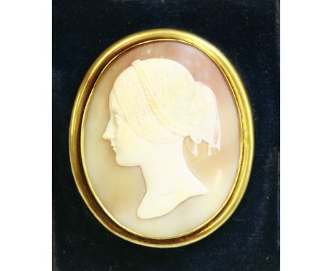 An early Victorian carved shell cameo,depicting a young lady facing left, in cream to a tan ground, in a plain gold rub over 