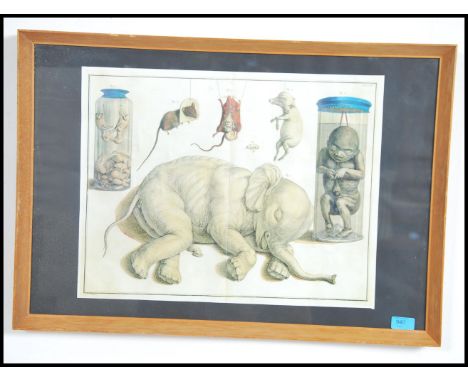 A framed and glazed Victorian style picture print scientific Embryotic studies to include Elephant, rats, mice human. Measure