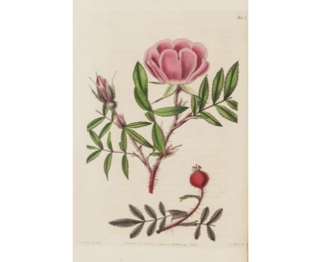 Botany.- Roses.- Lindley (John) Rosarum Monographia; or a Botanical History of Roses, first edition, half-title, 1 plain and 