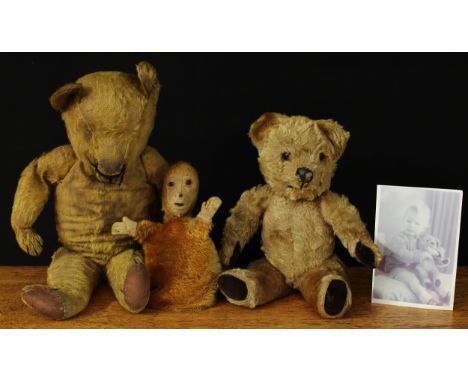 A 1950?s golden mohair teddy bear, amber and black glass eyes, black nose with stitched mouth, dark brown suedette pads to ha