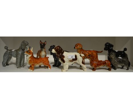 Goebel Dog Models- Poodle; Boxer; Corgi; Cocker Spaniel; Dachshund;  etc qty 