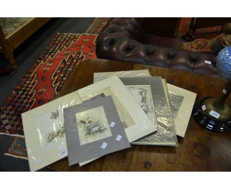 A set of various K F Barked hand coloured lithograph prints, mainly study of dogs