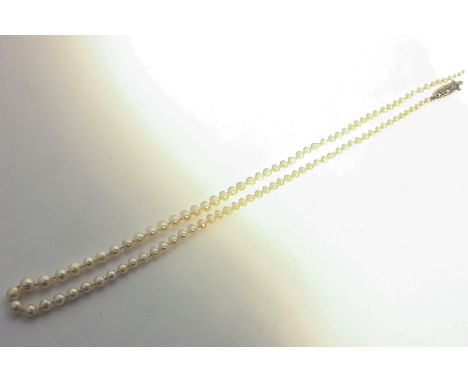 A single row pearl necklace on a silver clasp (a/f)