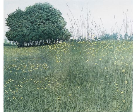 Phil Greenwood (b. 1943), etching and aquatint on paper, May Grass, signed and titled in pencil, 23cm x 26.5cm, mounted, glaz