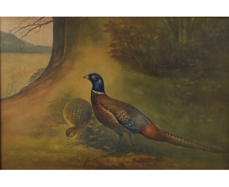 W.B. Johnson, watercolour of pheasants in a woodland scene, thought to be by William Borer Johnson (1861-1943), Art Director 