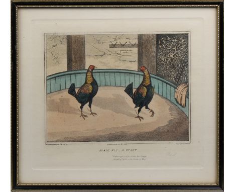 Five Cock Fighting colour engravings after H Alken engraved C R Stock, the plates titled - A Start; Getting to Work; Business