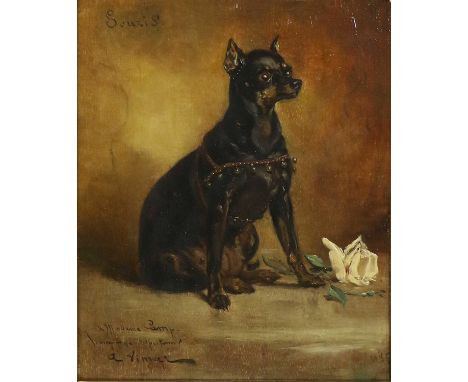 Auguste Vimar (1851-1916) French"Souris" - Study of a seated terrier wearing a decorative harness Signed, titled and inscribe