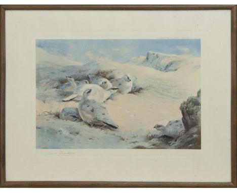 ARCHIBALD THORBURN (SCOTTISH 1860 - 1935), PTARMIGAN lithograph on paper, signed in pencil, titled label verso image size 31c