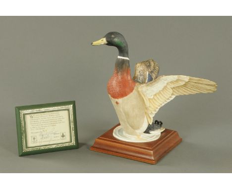 A Crown Staffordshire Limited Edition model "The Mallard", with wooden base and certificate, 76/250.  Height including stand 