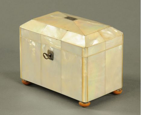 A 19th century mother of pearl tea caddy, with two lidded interior compartments and raised on short bun feet.  Width 15.5 cm 