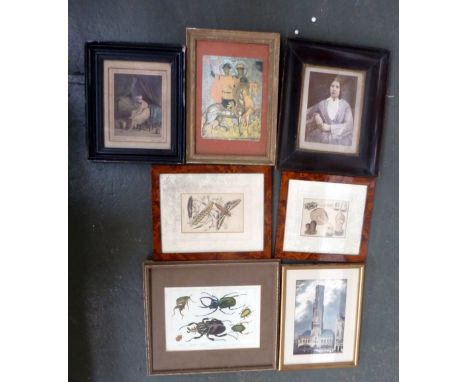 A selection of prints: including two prints of insects, a cathedral, a woman washing her feet and others (7)