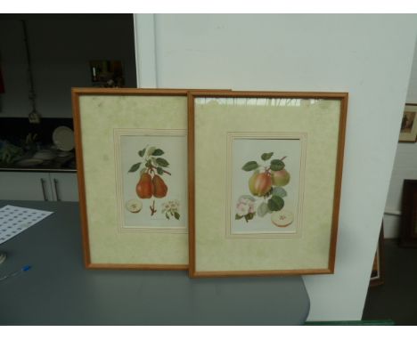 Two framed and glazed prints, one of apples one of pears,