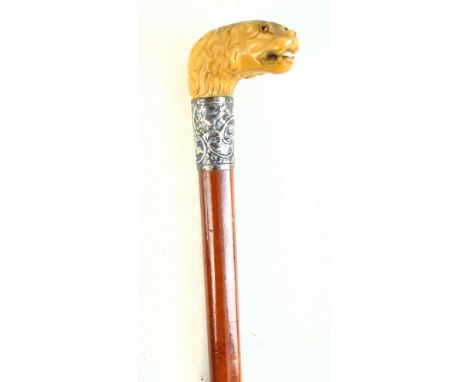 A Victorian malacca shafted walking stick, the carved bone handle modelled as a dog's head with inset eyes, with white metal 