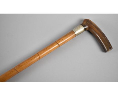 An Edwardian Horn Handled Silver Banded Bamboo Walking Cane, London 1904 
