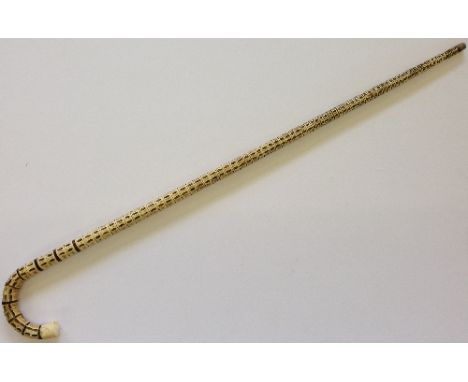 A shark's vertebrae walking stick with curved handle (36 inches overall). 