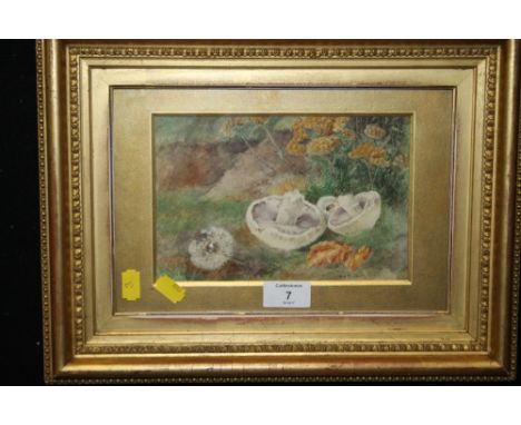 A W.C RICKETTS 1877-1930 ROYAL WORCESTER ARTIST WATERCOLOUR DEPICTING MUSHROOMS 