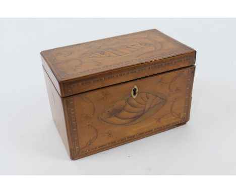 George III satinwood and inlaid tea caddy, circa 1790-1800, with shell inlays in boxwood and harewood, and further foliate in