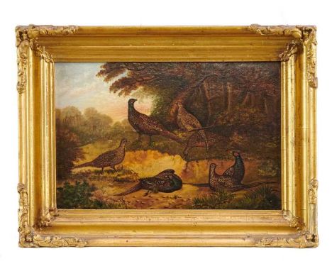 19th century, English School, oil on panel - Pheasants in Woodland, 17cm x 25.5cm, in gilt frameProvenance: Bridget Burgess, 