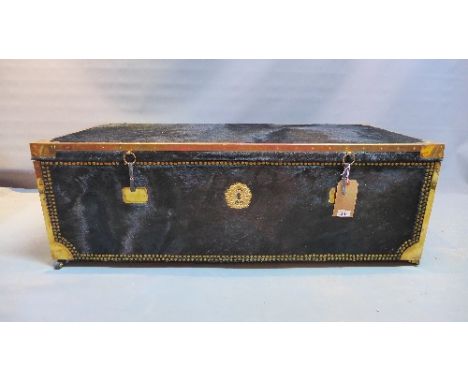 A brass bound and studded cowhide trunk with striped linen lined interior, on castors. H-41cm, W-121cm, D-55cm  