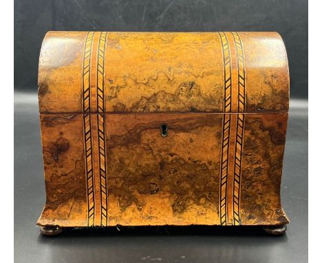 A burr walnut domed tea caddy 