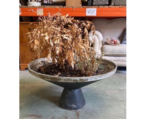 A large conical fibre glass planter (H40cm Dia80cm)