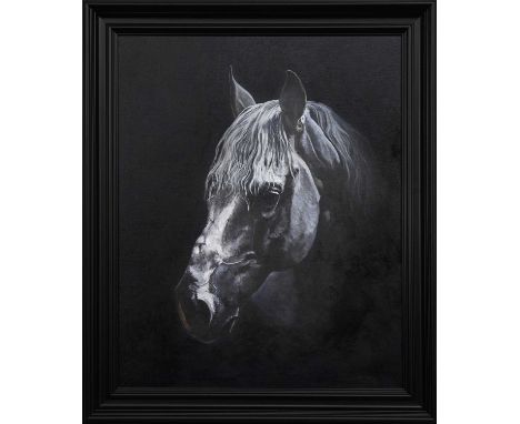 A HAWKINS, HORSE PORTRAIT oil on canvas, signed and dated 2017 versoframedimage size 76cm x 61cm, overall size 91cm x 76cm 