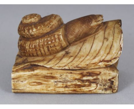AN EARLY 20TH CENTURY SIGNED JAPANESE STAINED BONE NETSUKE OF A SNAIL, crawling along a leaf above two logs, 1.75in long &amp