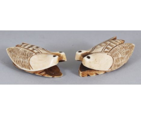 A PAIR OF EARLY 20TH CENTURY JAPANESE BONE NETSUKE OF CICADA, 1.9in long.