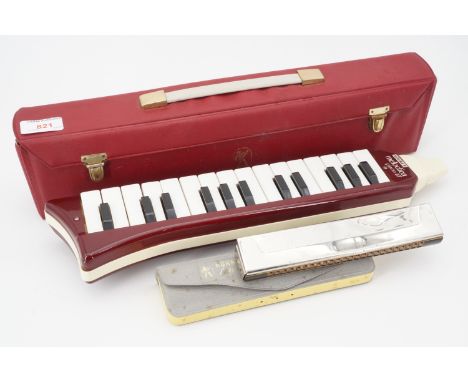 A Hohner Melodica Piano 27 and Echo harmonica