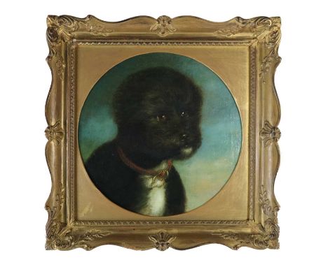 Continental School, circa 1900, An anthropomorphic portrait of a terrier-like dog, oil on canvas, 32cm x 32cm, frame 40cm x 4