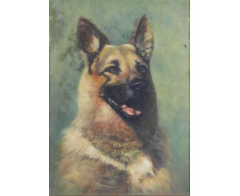 Gerald V. Gadd (British, 20th century), portrait of an Alsatian, oil on canvas, signed bottom right, measurements 46 x 33 cm,