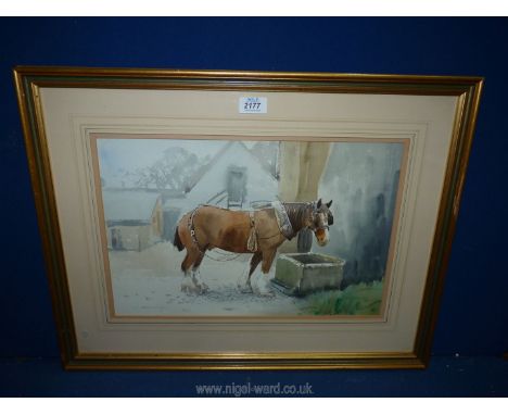 A framed and mounted Watercolour of a Harnessed Horse by a stone water trough, signed lower left Derek Williams, 25'' x 19 1/