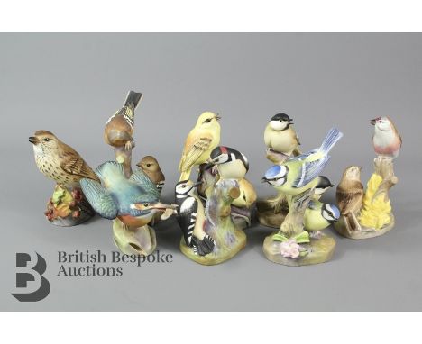 Eight Royal Worcester bone china woodland and garden birds; including Thrush no 3234, Kingfisher no 3235, plus five pairs of 