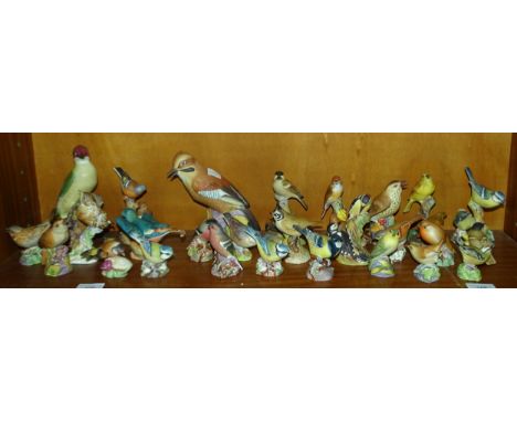 A collection of twenty-seven Royal Worcester bird ornaments, including "Jay", "Woodpecker", "Kingfisher", etc. 
