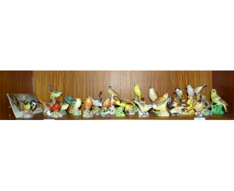 A collection of twenty-seven Royal Worcester bird figures, together with a modern Dresden figure of a finch, (28). 