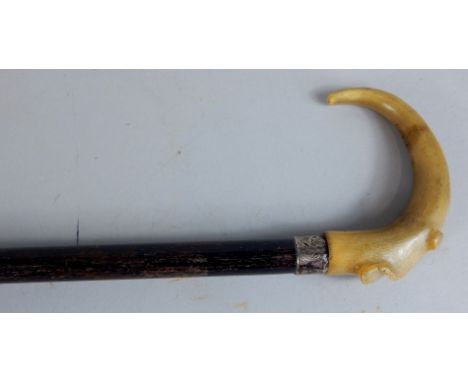 An Edwardian ebonised walking stick, with silver collar and rhinoceros horn carved handle