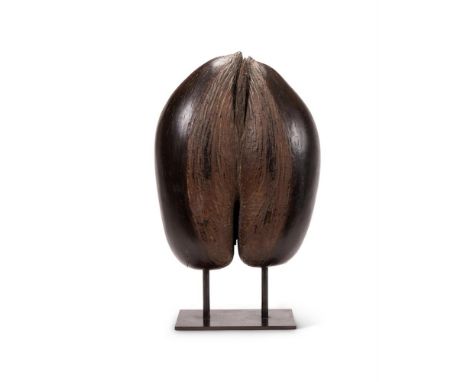 Y &nbspNATURAL HISTORY - A COCO DE MER (LODOICEA MALDIVICA)  Now mounted on metal stand  47cm high overall, base 21cm wide   