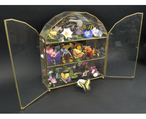 CERAMIC BUTTERFLIES, a collection of fifteen various types with display case, 33cm H.