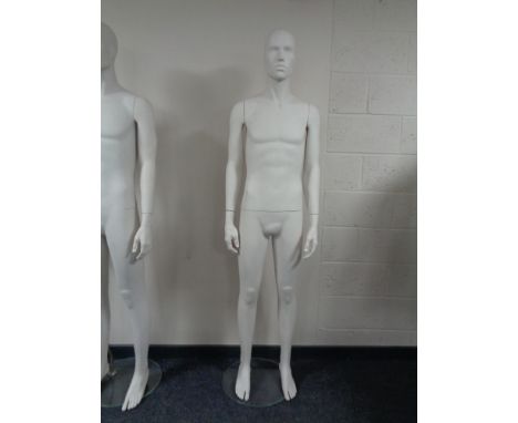A male mannequin on stand (flesh matte).  