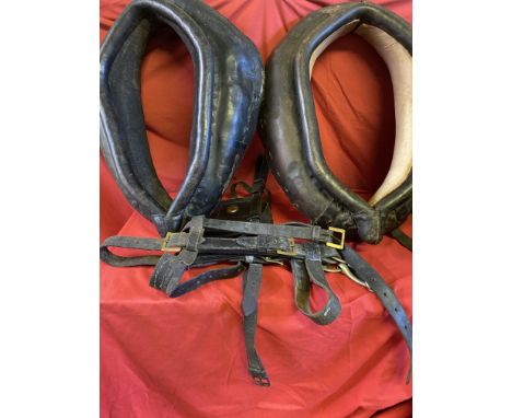 Heavy Horse traditional harness to include: two heavy horse saddles, one cob size single pad/backband for fixed shafts, one s