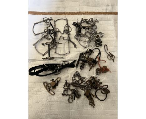 Miscellaneous Items including; two new pole straps; various harness decorative parts such as terrets, rosettes, kidney links,